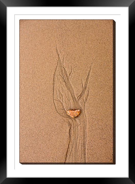Sand Art Framed Mounted Print by LIZ Alderdice