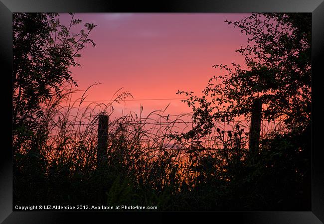 Red Sky at Night Framed Print by LIZ Alderdice