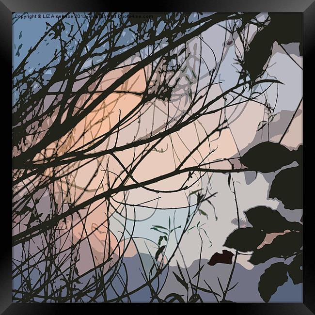 Sunset through the Willow (abstract) Framed Print by LIZ Alderdice