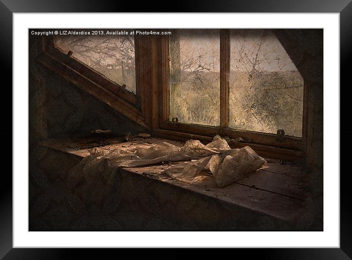 Room With A View Framed Mounted Print by LIZ Alderdice
