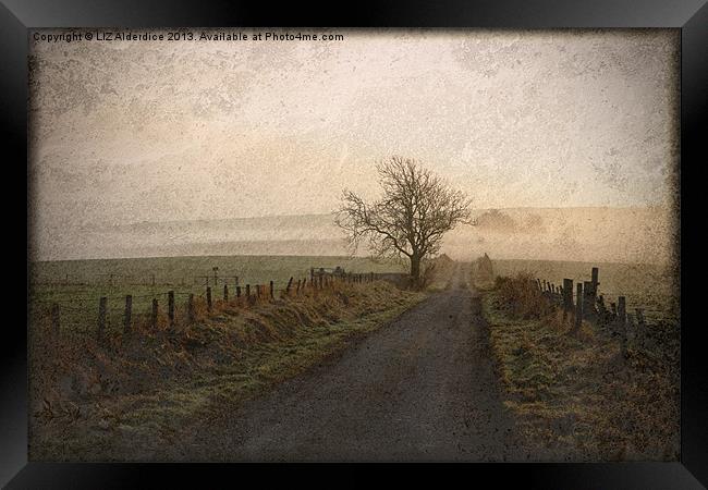 The Road Not Taken Framed Print by LIZ Alderdice