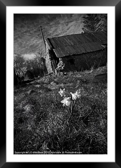 Dark Spring Framed Mounted Print by LIZ Alderdice