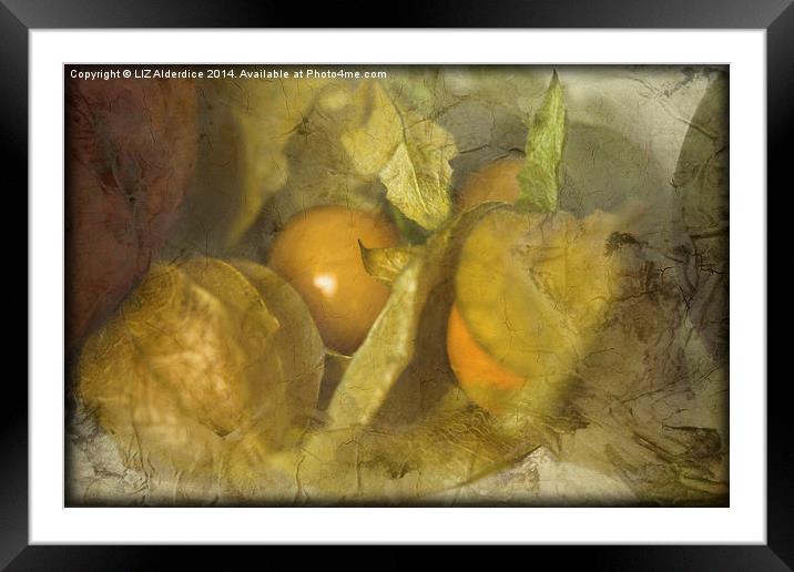 Edible Sunshine! Framed Mounted Print by LIZ Alderdice