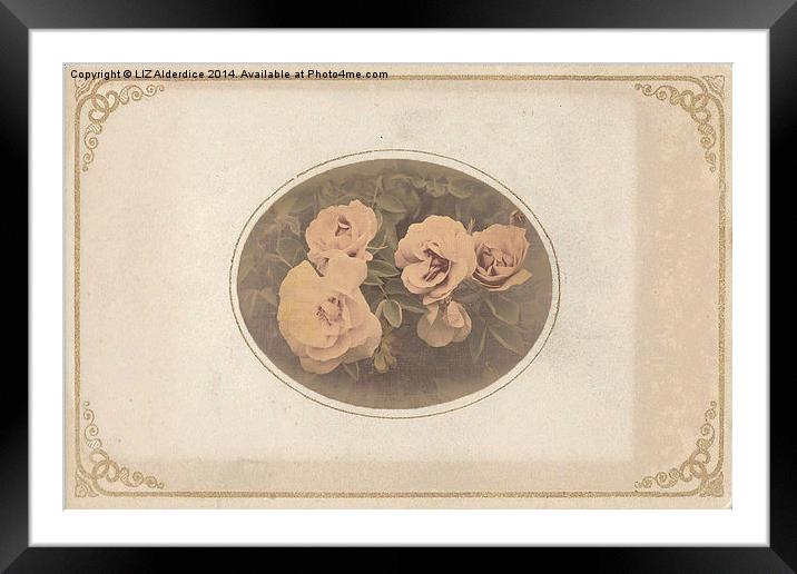 Vintage Roses Framed Mounted Print by LIZ Alderdice
