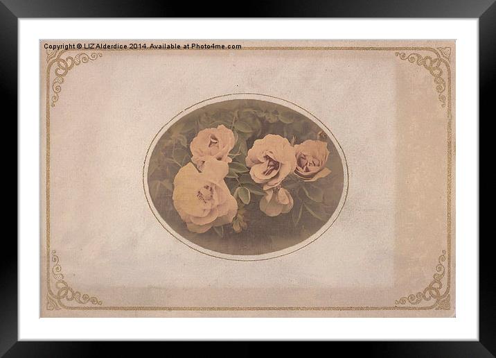 Vintage Roses II Framed Mounted Print by LIZ Alderdice