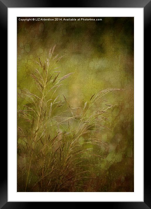 Meadow Grasses Framed Mounted Print by LIZ Alderdice