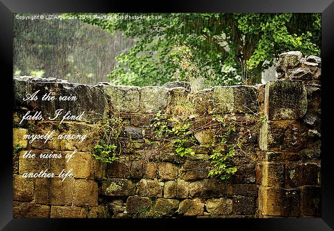  As The Rain Falls Framed Print by LIZ Alderdice