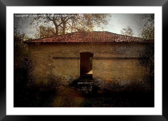  Abandoned Turkish House Framed Mounted Print by LIZ Alderdice