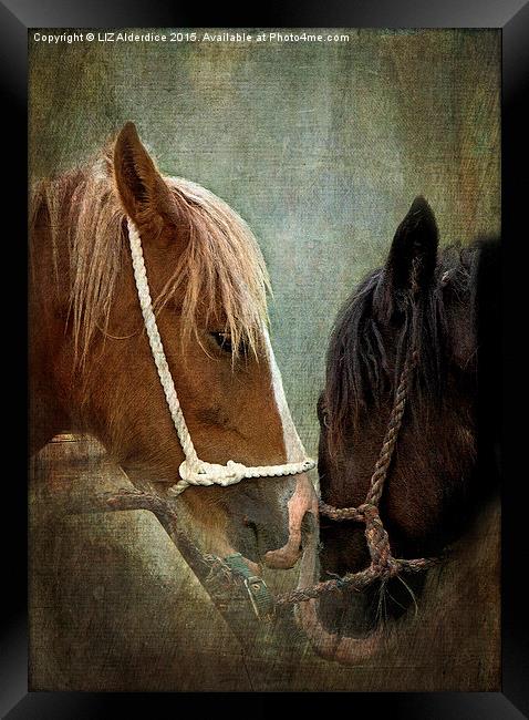 Appleby Fair Horses Framed Print by LIZ Alderdice