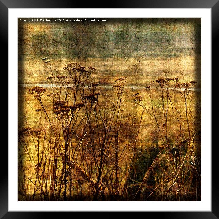 River View (square format)  Framed Mounted Print by LIZ Alderdice