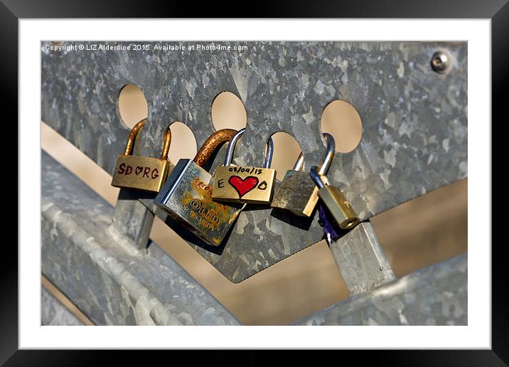 Love Locks 2 Framed Mounted Print by LIZ Alderdice