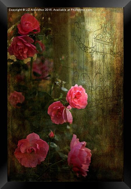  Gothic Romance Framed Print by LIZ Alderdice
