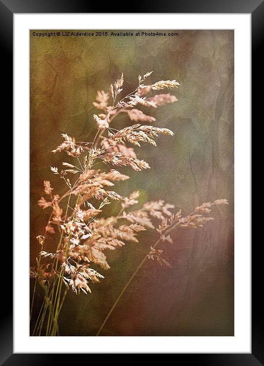  Natural Simplicity Framed Mounted Print by LIZ Alderdice