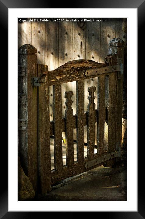  Wooden Gate Framed Mounted Print by LIZ Alderdice