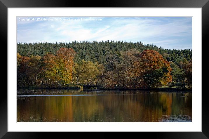  Autumn Reflections at Haddo Framed Mounted Print by LIZ Alderdice