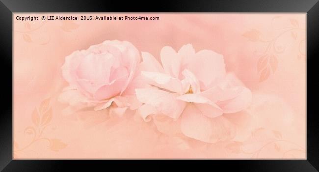 Dreamy Pink Roses Framed Print by LIZ Alderdice