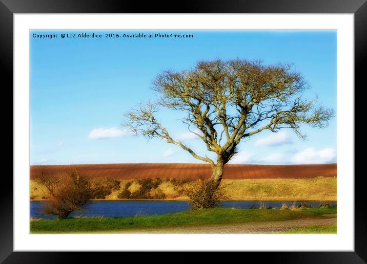 The Tree Framed Mounted Print by LIZ Alderdice