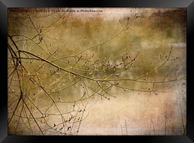 On Golden Pond Framed Print by LIZ Alderdice