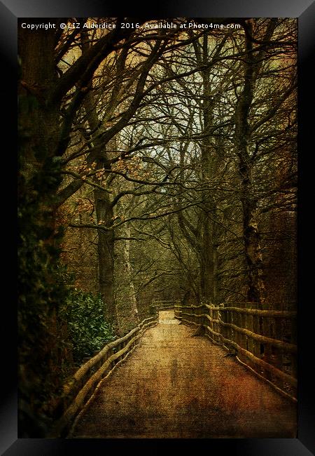 The Path Ahead Framed Print by LIZ Alderdice