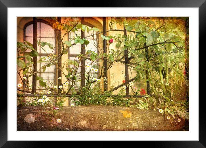 Merton College Flowers Framed Mounted Print by LIZ Alderdice