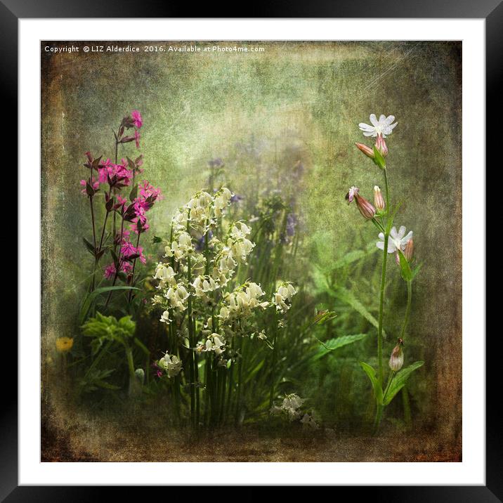 Wildflower Symphony Framed Mounted Print by LIZ Alderdice