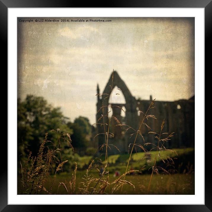 Bolton Abbey Ruins Framed Mounted Print by LIZ Alderdice