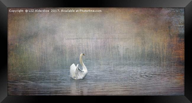 Swan Lake version 2 Framed Print by LIZ Alderdice