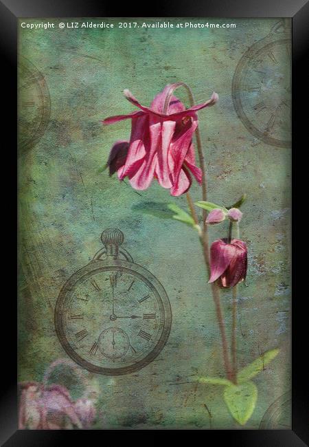 Spring Time Flowers Framed Print by LIZ Alderdice