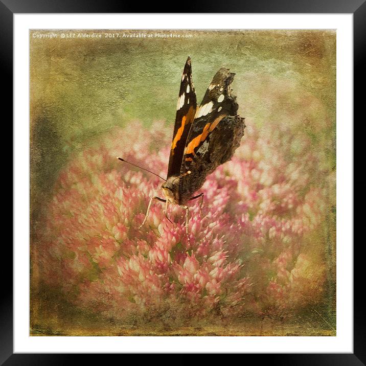 Autumn Joy Framed Mounted Print by LIZ Alderdice