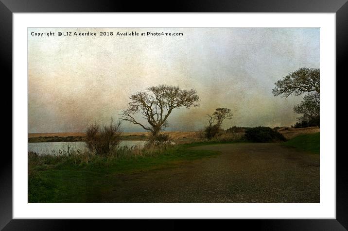 River View near Newburgh  Framed Mounted Print by LIZ Alderdice