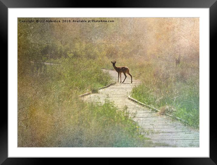 Daydream Deer Framed Mounted Print by LIZ Alderdice