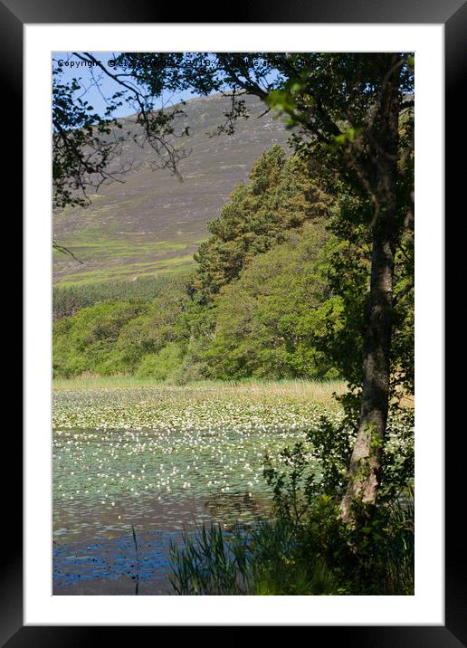 Across the Lake Framed Mounted Print by LIZ Alderdice