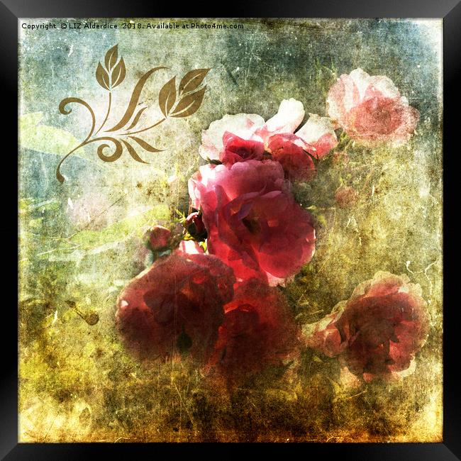 Vintage Roses Framed Print by LIZ Alderdice