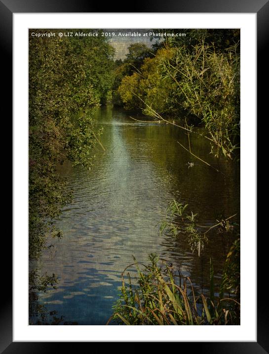 River's Edge Framed Mounted Print by LIZ Alderdice