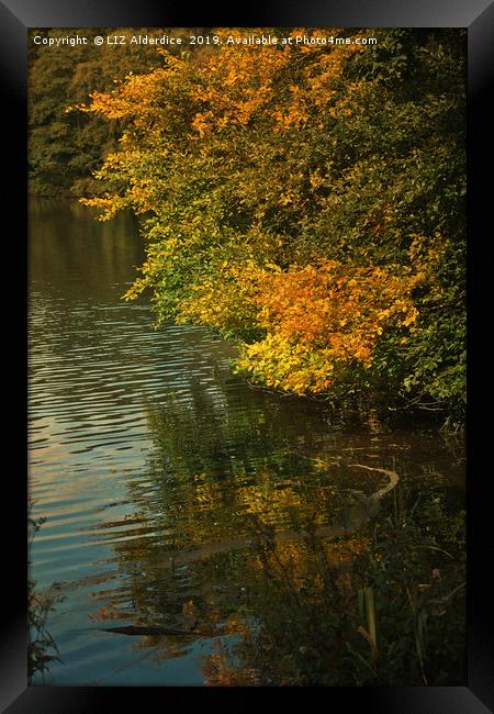 Autumn Reflections Framed Print by LIZ Alderdice
