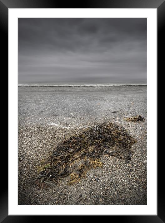 On The Beach Framed Mounted Print by Natures' Canvas: Wall Art  & Prints by Andy Astbury