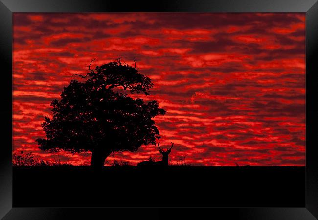 Shepherds' Warning Framed Print by Natures' Canvas: Wall Art  & Prints by Andy Astbury