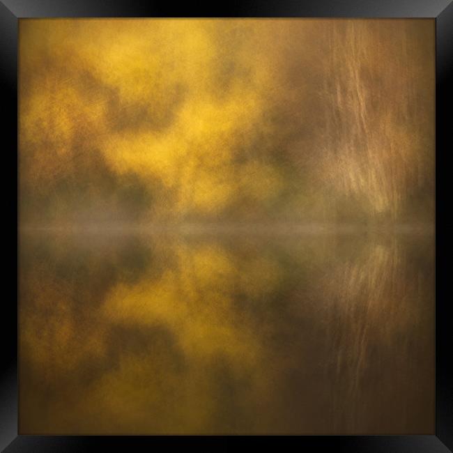 Abstract Birch Reflections Framed Print by Natures' Canvas: Wall Art  & Prints by Andy Astbury
