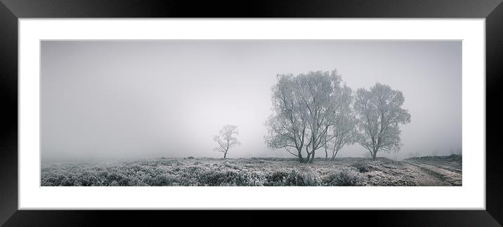Cannock Chase Framed Mounted Print by Natures' Canvas: Wall Art  & Prints by Andy Astbury