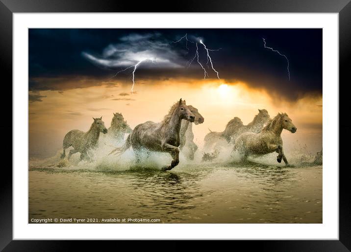 White Horses in Storm Framed Mounted Print by David Tyrer