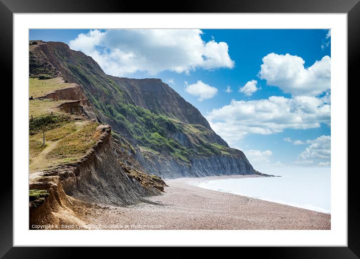 Dorset's Ancient Coastal Pathway Framed Mounted Print by David Tyrer