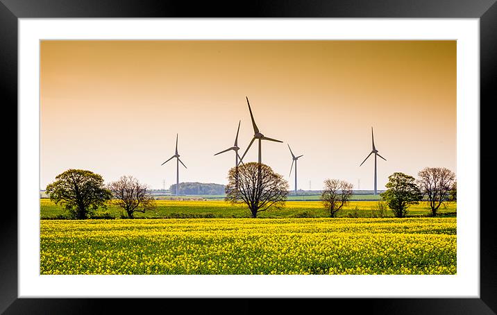 Wind Farm Framed Mounted Print by David Tyrer