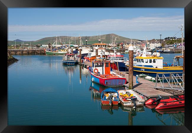 Dingle Harbour Framed Print by David Tyrer