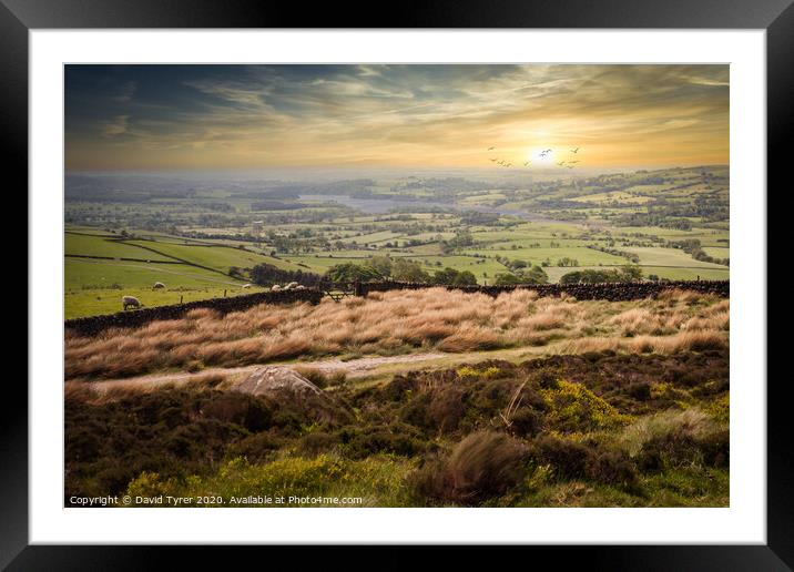 Twilight Over Staffordshire's Untamed Wilderness Framed Mounted Print by David Tyrer