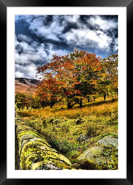 Autumn at Dovestones Framed Mounted Print by Neil Ravenscroft
