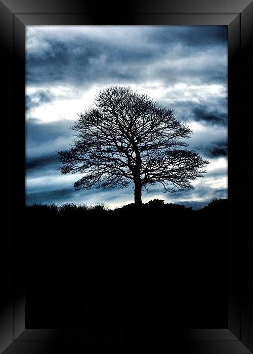 Lone Tree Silhouette Blue Framed Print by Neil Ravenscroft