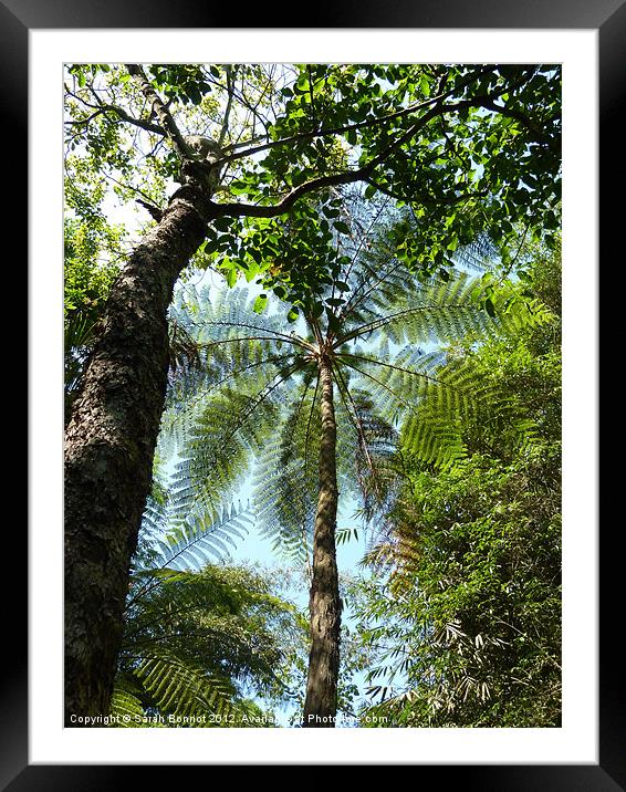 Bali Jungle Framed Mounted Print by Sarah Bonnot