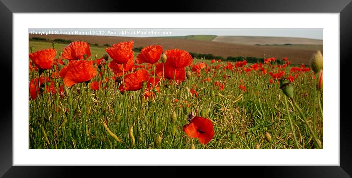 South Downs Poppies Framed Mounted Print by Sarah Bonnot