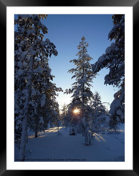 Winter sun in Lapland Framed Mounted Print by Sarah Bonnot
