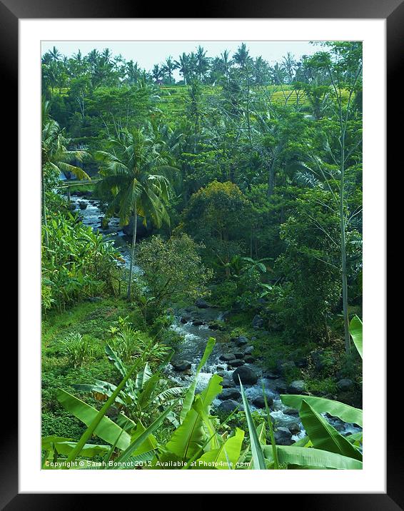 Bali Jungle River Framed Mounted Print by Sarah Bonnot